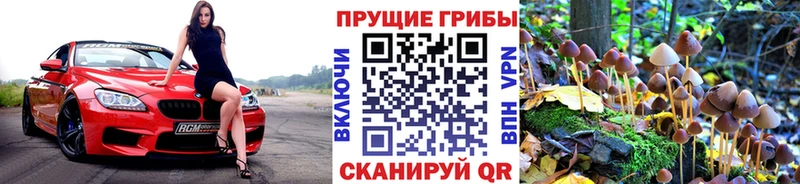 Псилоцибиновые грибы Psilocybine cubensis  Агидель 